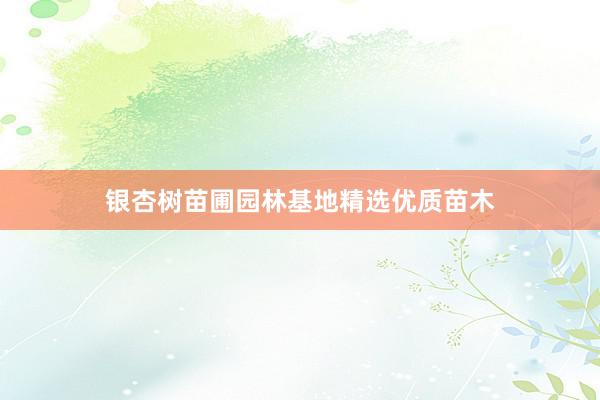 银杏树苗圃园林基地精选优质苗木